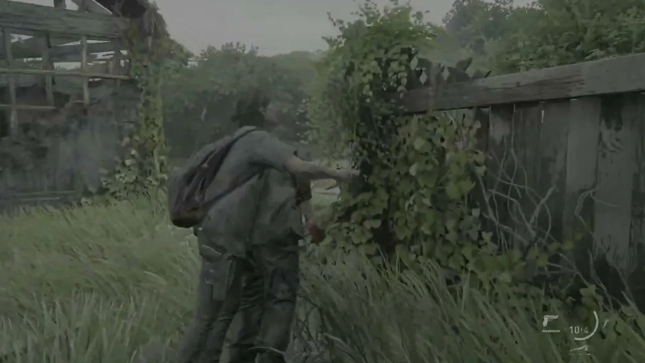 NAUGHTY DOG The Last of Us 2 (Redesign)