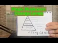 Dosage Levels of Psilocybin Magic Mushrooms