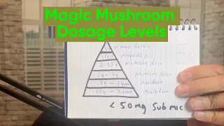Dosage Levels of Psilocybin Magic Mushrooms
