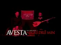 Download Lagu Avesta - Negri Dilemin
