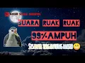 Download Lagu Suara pikat ruak ruak malam hari ampuh buat nyuluh