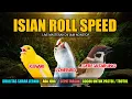 Download Lagu #11 MASTERAN MURAI BATU ROLL SPEED TEMBAKAN PANJANG ISIAN GEREJA, KENARI, LOVEBIRD
