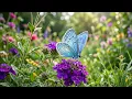 🌼 Spring Bird Sounds with Relaxing Piano 🎹 Deep Relaxation and Healing Music for Calm Mind