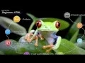 Ch1 lesson 4 - viewing the HTML code behind web pages
