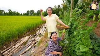 Hái khổ qua vườn ở Quê nhà Phan Diễm nấu toàn món ngon Miền Tây