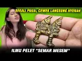 MENGENAL ILMU PELET SEMAR MESEM SUKU JAWA