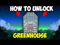 How to Unlock GREENHOUSE in Stardew Valley 1 6