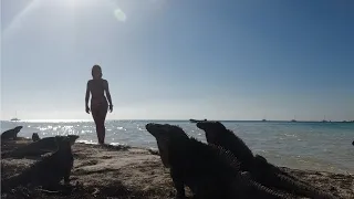 Ep.275 Who needs clothes at Iguana Beach – Sailing and Adventure in Cuba