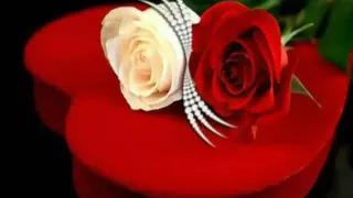 صور ورد دندنها