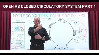 Open vs Closed Circulatory System Cardiology