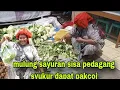Download Lagu BELANJA LAGI UNTUK WARUNG LIA ⁉️ SYUKUR DAPAT SAYURAN SISA PEDAGANG 