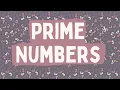 Prime Numbers Explained