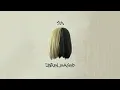 Download Lagu Sia - Too Beautiful (Audio)