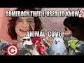 Download Lagu Gotye feat. Kimbra - Somebody That I Used To Know (Animal Cover) [REUPLOAD]