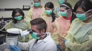 What Drexel Looks For in a Medical Student
