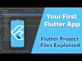 Flutter Tutorial For Beginners Build Your First Flutter App Project Files Explained