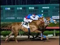 Los Alamitos Replays Full Card Stream Saturday August 1