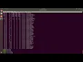What is the proc directory for