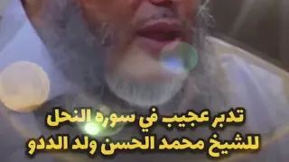 سبحان من ألهمه هذا الفهم العجيب حفظه الله   الشيخ محمد الحسن الددو الشنقيطي دندنها