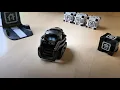 ROBOT TESTING Anki VECTOR - Basics commands and SECRET EASTER EGGS