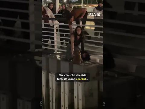 A dog is stuck on a ledge over the water, so she climbs over 🐶❤️  #DogRescue #AnimalRescue #Heartwa
