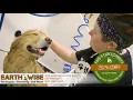 EarthWise Pet Supply Commercial - Mt Pleasant SC