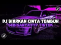 Download Lagu DJ BIARKAN CINTA TUMBUH SEBISANYA || DJ KARENA SU SAYANG JEDAG JEDUG MENGKANE VIRAL TIKTOK