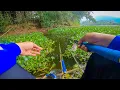 Download Lagu SAYA MANCING IKAN NILA DAN BERKEMAH DI PINGGIR WADUK || mancing ikan nila di waduk selorejo Ngantang
