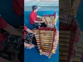 Download Lagu Balinese Music #Bali #Music