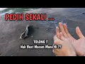 Download Lagu ADUHH SAKIT !! Waspada Dengan Spesis Ini || Mancing Jambatan Pulau Pinang