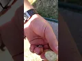What s inside of the