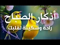 Download Lagu أذكار الصباح - راحة نفسية لا توصف بصوت القارئ علاء عقل | Morning Athkar - Dzkir Pagi