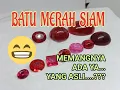 Download Lagu CARA MEMBEDAKAN BATU MERAH SIAM YANG ASLI DAN YANG PALSU