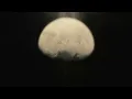 SAVE US - No Holding Back