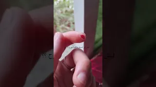 مهتمه بهاذي محتوى  طقي فولو       ف ك   رتيي  بت  بتس نامجون جين يونقي جيهوب جيمين تاي جونغكوك دندنها