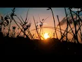 Download Lagu SALDAGA (살다가) - SG Wannabe | Lirik Dan Terjemahan Sub Indo