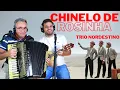 Download Lagu AUTÊNTICO FORRÓ DO TRIO NORDESTINO - Chinelo de Rosinha - Manoel Diógenes e Manoel Júnior