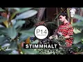 Download Lagu Stimmhalt - P14 video podcast [Underwood Art Factory, Phuket 2020]