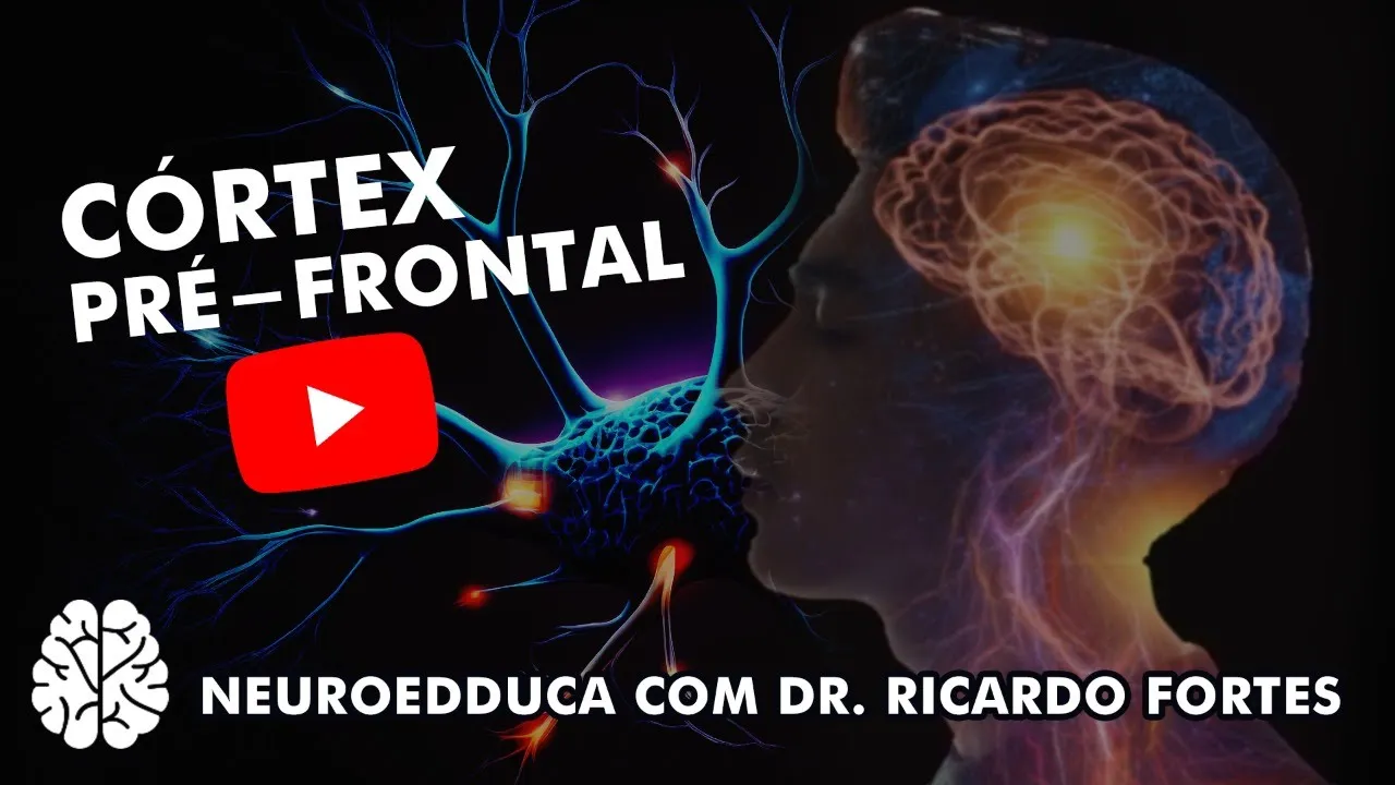 Córtex Pré Frontal