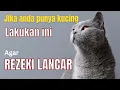 Download Lagu Jika Anda Punya Kucing, Lakukan ini agar Rezeki anda bertambah