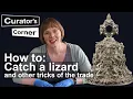 Renaissance Metalworking and Lifecasting with Rachel King Curator s Corner S7 Ep8