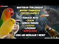 Download Lagu MASTERAN TERLENGKAP TEMBAKAN TENGKEK BUTO, CILILIN, GEREJA TARUNG, KENARI, LOVEBIRD, KUNTILANAK !!