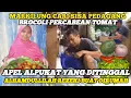 Download Lagu MULUNG GAGAL FOKUS CARI SISA PEDAGANG ALHAMDULLILAH REZEKI BUAT DIRUMAH APEL ALPUKAT BROCOLI TOMAT 