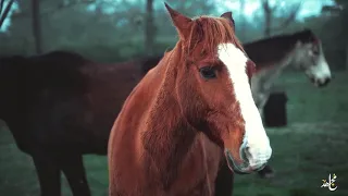 أ طف أ الم صب اح ن ور ا 