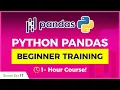 Learn Python Pandas 1-Hour Pandas Course for Beginners