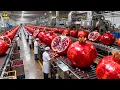 Lagu Inside a Modern Pomegranate Factory: From Raw Pomegranates to Bottled Premium Juice (Full Process)