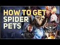How to get Spider Pets Baldur s Gate 3 Spider Egg Sac