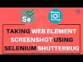 Take WebElement Screenshot using Selenium Shutterbug