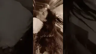 بالهوى طاير شعرك سواد اليل اغاني عراقيه قديمه حالات واتساب 