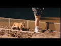 Ben Fero - Demet Akalın [Orijinal Klip]